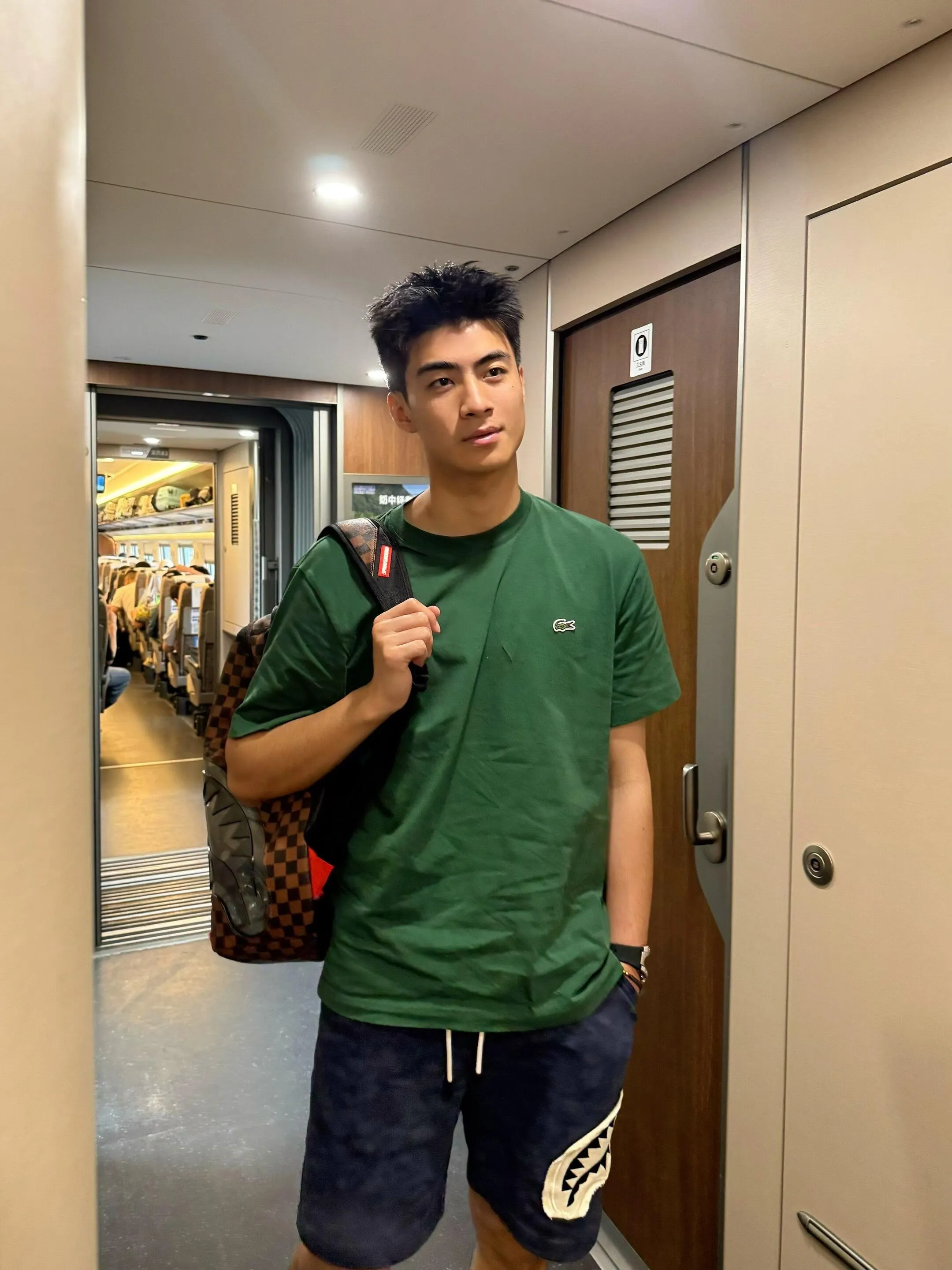 [Upper body picture] Lacoste crocodile logo short sleeves (Green)